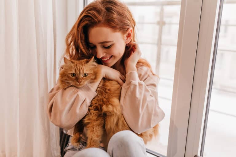 Machen Katzen glücklich – höhere Zufriedenheit als Haustierbesitzer?